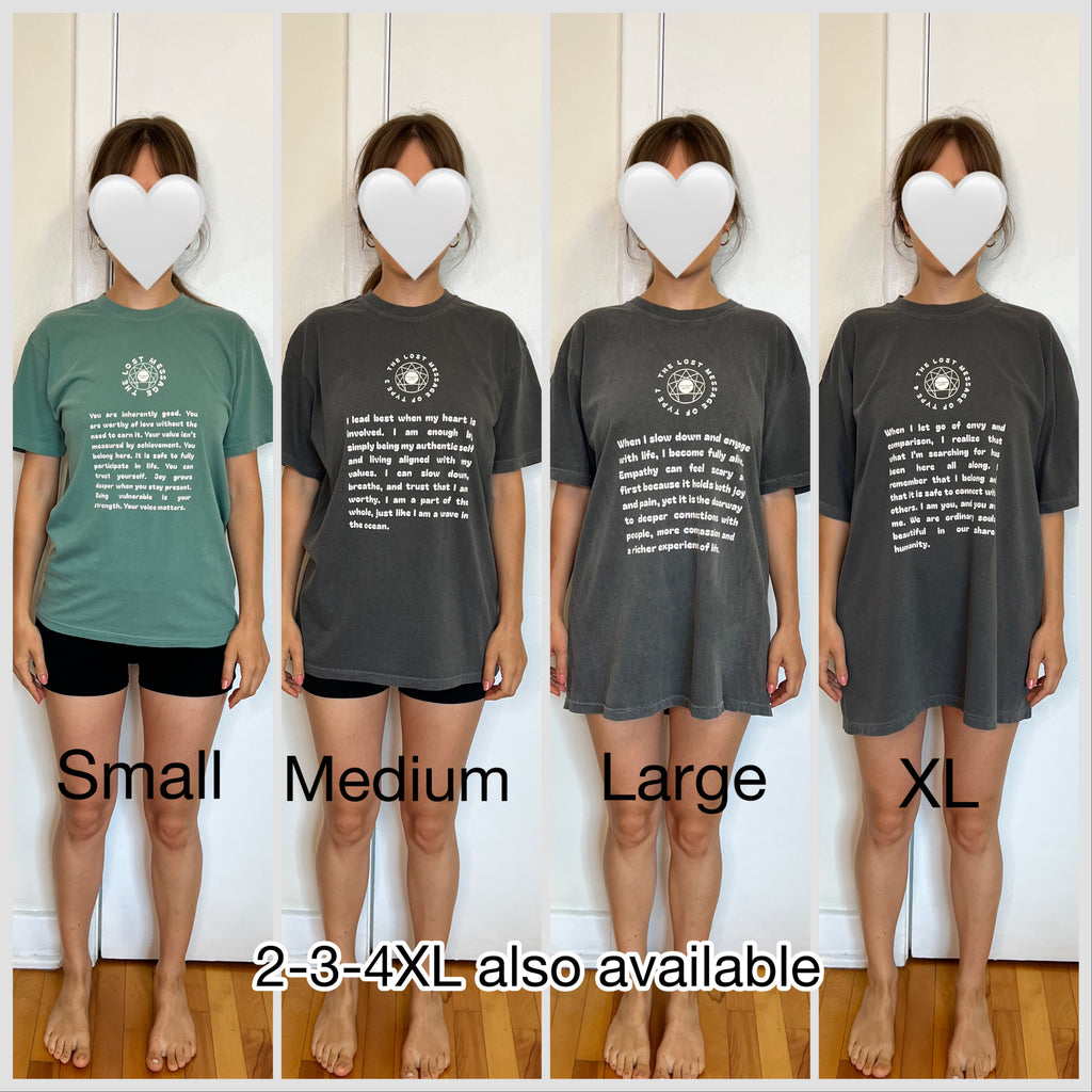 Enneagram Type 1 Daily Affirmation T-Shirt | The Lost Message